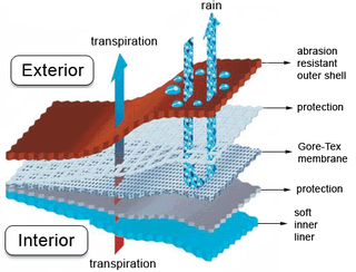 Illustration for article titled The History of Rain Jacket Tech, From Intestines To Gore-Tex